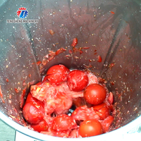 20l Volautomatische Fruit En Groente Snelle Sapmachine Fruit En Groenten Pulp-En Sapmachine