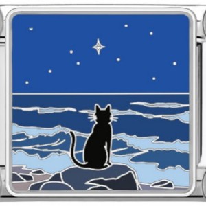 Nouveau Bracelet Modulaire en Acier Inoxydable Dly Ocean Flower Cat Sky Original, à Assemblage Libre, Polyvalent, Finement Poli, pour le Voyage - Product Image 3