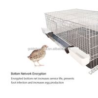 Ensemble complet YYC pour l'élevage avicole, cage automatique pour l'élevage des poussins et des cailles pour la production d'œufs avec mangeoire et abreuvoir