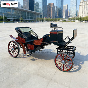 Carruaje de Lujo con Luces LED para Exteriores, Carruaje Navideño, Vagoneta para Bodas en Venta - Product Image 3