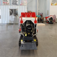 Chinesischer Hersteller Mini-Raupendumper 500kg 1000kg Vorderteil Elektrischer Raupen-Minidumper