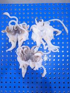 Tentacules de <span class=keywords><strong>seiche</strong></span> congelés coupés ouverts, de haute qualité, à bon prix, prix d'usine - Product Image 2