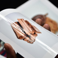 Papel Fotográfico en Rollo TREES PH-ECO-280 de Alto Brillo, Resistente al Agua, Compatible con Tinta Eco-Solvente UV, para Impresión de Pósters