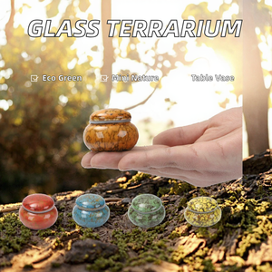 Terrarium en céramique moderne 17*20cm avec couvercle en liège décoratif, écologique, pour mariage, mousse, DIY, mini-nature, fait main, grande capacité - Product Image 2