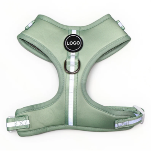 Nuovo prodotto imbracatura per cani morbida imbottita guinzagli collare per animali domestici accessori per camminare per cani - Product Image 2