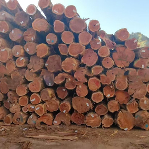 Vente en gros de planches de bois massif en cyprès rouge, grain de bois clair, résistantes à la corrosion, avec 15 % d'humidité, pour cigares longs - Product Image 2