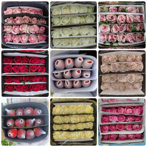 Vente en gros directe Lot de roses fraîches coupées du Yunnan Base de fleurs pour mariage pour achat en groupe chez Stall - Product Image 2