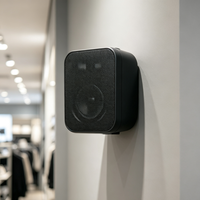 Haut-parleur mural à tension constante pour système PA 40W 60W, enceinte murale 70-110V pour sonorisation d'ambiance hôtels, écoles, restaurants