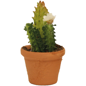 อุปกรณ์ตกแต่งสำหรับการประสูติของพระเยซูคริสต์กระถางขนาด2.6ซม. (9006935097252) - Product Image 1