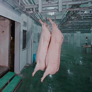 <strong>Pig</strong> Abattoir Slaughtering Equipment <strong>Pig</strong> Processing Plant One-Stop Solutions Project <strong>Pig</strong> Slaughter Machine - Product Image 2