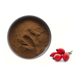 Polvo de polifenoles 10% Extracto de rosa mosqueta de alta calidad - Product Image 1