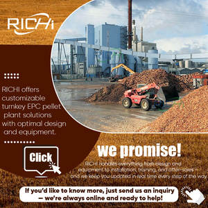 קו ייצור אוטומטי של כדורי עץ RICHI 1-10 טון, קו ייצור כדורי ביומסה בהתאמה אישית מעץ אקליפטוס ועץ אורן - Product Image 6