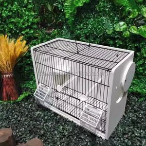 Vente en gros de cages à oiseaux décoratives pinsons volière extérieure grande <span class=keywords><strong>cage</strong></span> à oiseaux ornementale <span class=keywords><strong>cage</strong></span> à oiseaux - Product Image 1