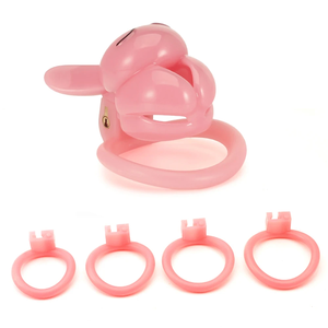 Hochwertige männliche Keuschheit Käfig Sexspielzeug Sissy weiblich männlich Anfänger Hase Keuschheit Keuschheit gürtel mit vier Größe Penis Ring 18 - Product Image 2
