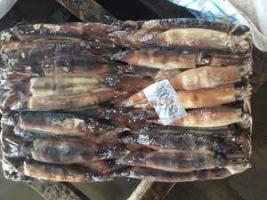 Bán Buôn BQF Hải Sản Đông Lạnh <span class=keywords><strong>Illex</strong></span> Mực Giá Tốt Toàn Bộ Vòng Đông Lạnh Mực - Product Image 4