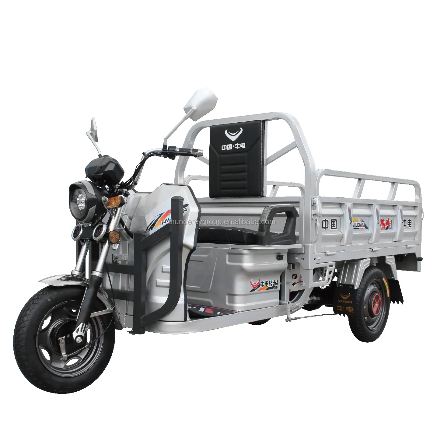 Funzione di autoscarico del triciclo del carico elettrico per adulti di alta qualità