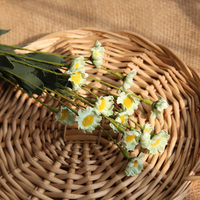 Offre Spéciale : Fleurs Artificielles en PE, Marguerites Réalistes, Idéales pour la Décoration de Mariage (Vente en Gros)
