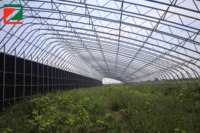 Boerentunnelbogenkas, eenvoudige landbouwfolie-afdekking voor de teelt van bloemen en groenten, merk ZHUOTAI