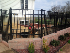 Nhà máy OEM ODM 6 chân chó-bằng chứng rèn sắt hàng rào mạnh mẽ ống thép mạ kẽm 1800mm lỗ vuông hình dạng an ninh mới 2025 - Product Image 2