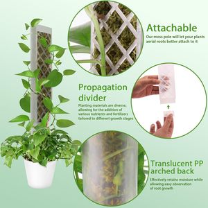 Lot de 2 supports de poteau en mousse en plastique <span class=keywords><strong>pour</strong></span> <span class=keywords><strong>plantes</strong></span> <span class=keywords><strong>grimpantes</strong></span> <span class=keywords><strong>pour</strong></span> application à la maison et au jardin. - Product Image 3