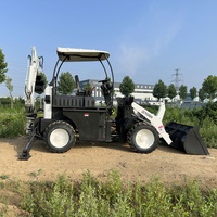 Mini Chargeuse-Pelleteuse Utilitaire Compacte Légère TOSH Micro de 600kg 800kg 1000kg 0,8 Tonne