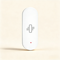 Capteur intelligent de température et d'humidité Zigbee, moniteur d'humidité intérieure, contrôleur, fonctionne avec Alexa Google Home