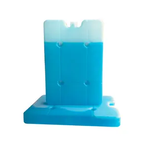 China fornecedor azul gelo tijolo gelo blocos freezer bloco gelo caixa tijolo para armazenamento de alimentos