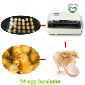 Incubateur d'œufs de poule entièrement automatique pour la vente, incubateur de poulet à prix d'usine et Machine d'éclosion, <span class=keywords><strong>couveuse</strong></span> de poulet en images - Product Image 5