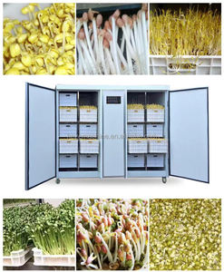 Machine automatique de germination de haricot mungo Luzerne Galic Orge Herbe Bovins Fourrage Vert Machine de culture de germination de haricot - Product Image 6