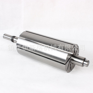 อะไหล่ปั๊มสุญญากาศสแตนเลสโรเตอร์ปั๊มลม Isge - Product Image 2