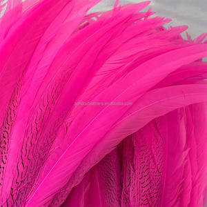 Plumas <span class=keywords><strong>de</strong></span> Faisán Plateadas Teñidas al por Mayor <span class=keywords><strong>de</strong></span> 24-26 Pulgadas (60-65 cm), Plumas <span class=keywords><strong>de</strong></span> Faisán Plateadas Verdes Largas en <span class=keywords><strong>Venta</strong></span> - Product Image 5