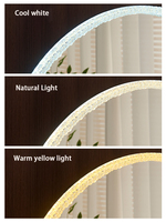 Vente en gros de miroirs de maquillage modernes à LED et de miroirs intelligents à LED pour la décoration murale d'hôtel