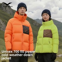 Nouvelle arrivée, veste d'hiver rembourrée unisexe à manches raglan en forme de H, imperméable DWR, à capuche