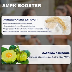 Complément Alimentaire Halal Garcinia Cambogia Coupe-Faim Brûleur de Graisse Végétalien Naturel Faible en Sucre Détox Minceur Perte de Poids Marque Blanche - Product Image 3