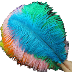 แผ่นขนนกกระจอกเทศหลากสีสำหรับตกแต่งงานแต่งงานและงานฝีมือ - Product Image 3