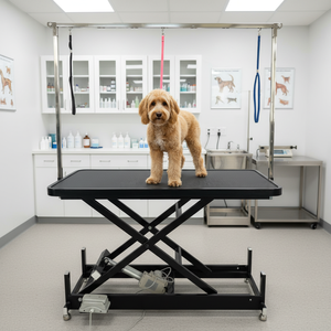 電動昇降式ペットグルーミングテーブル、頑丈で安定したリフティングテーブル、犬のグルーミングサロン用ハンギングアームとノーズ付き - Product Image 1