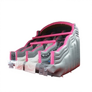 Tobogán Inflable de Cinco Canales con Diseño de Parque Infantil - Product Image 1