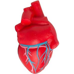 Hot Sales Anatomic Hearts with Veins Pu Stress Relievers Stress Toy Stress <b>Ball</b> - Product Image 1