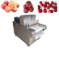 Hoogwaardige droogfruitverwerkingslijn machine fruitpons- en perforatiemachine