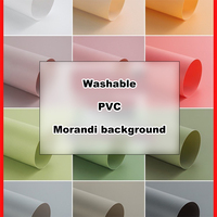 Latar Belakang Fotografi PVC Vinyl Portabel Multi-Warna Tahan Air Dapat Digunakan Kembali untuk Pemotretan Fashion & Video dan Dekorasi Studio