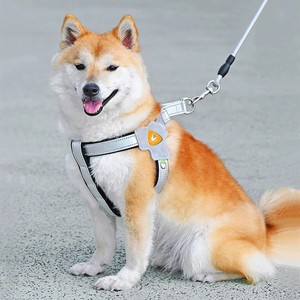 Arnés para Perros Estilo Chaleco, Ajustable, de Nailon, Tamaño Mediano, para Shiba Inu, Corgi, Bichón, Teddy - Product Image 3