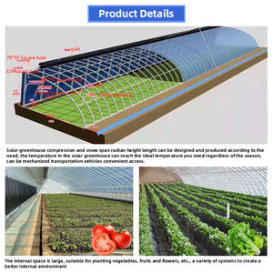 中国太阳能温室低成本镀锌钢结构防水保暖被冷冬保暖被动式太阳能温室 - Product Image 4
