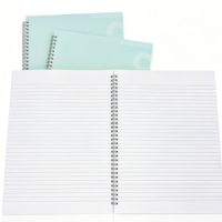 Carnet A4 de haute qualité à spirale métallique, couverture en carton blanc, pages personnalisables, double spirale, cahier d'exercices scolaire, fourniture d'usine