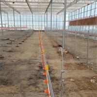 Nouveau élevage de poulets avec équipement de sol pour poulets de chair et cage pour poulets de chair Construction automatique en acier galvanisé
