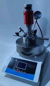 Reactor de autoclave de alta presión de laboratorio 50ml 100ml, 250ml, tanques de 500ml con acoplamiento magnético y características de agitación mecánica - Product Image 3