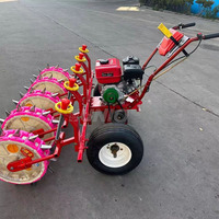 Semoir à maïs autopropulsé à essence haute efficacité, machine à planter le soja et le maïs à 2 rangs pour les petites exploitations agricoles