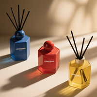 Parfum d'intérieur 50ml 100ml Diffuseur d'huiles essentielles de parfum en verre irrégulier à la mode Diffuseur de roseaux avec bâton aromatique