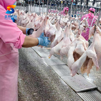 Ligne complète d'abattage de volailles, capacité 500-5000 poulets par heure