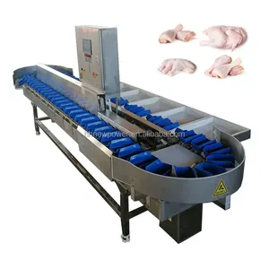 wholesale automatic chicken fish shrimp seafood grading poultry sorter weighing grader weight sorting machine
