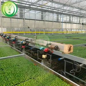 インテリジェント灌漑システム現代農業温室